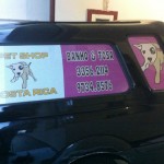 adesivos vidros de carro plotagem curitiba