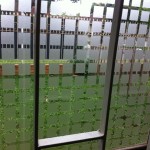 vinil jateado para vidros curitiba