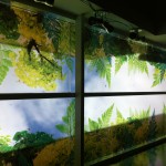 impressao em adesivo para vidro curitiba